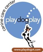 Play Dog Play