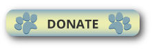 btn_donate2