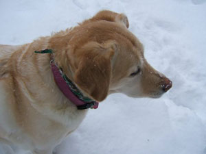 Emma in the snow