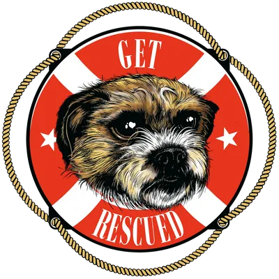 get resucued 2026